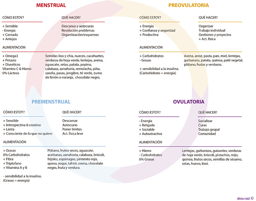 fases-ciclo-menstrual